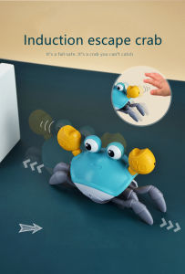 Induction Crab Toy