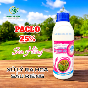 Baclolac 25SC (Paclo Sen Hồng Đồng Tháp) - Xử lý ra hoa nghịch vụ