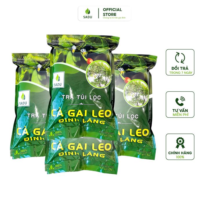 Trà cà gai leo đinh lăng Sadu túi lọc gói 1kg Tăng sức đề kháng của cơ ...