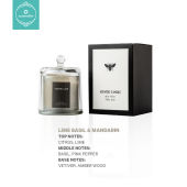 Scented Candle 100% Soy Wax Candle Home Decor Aromatherapy Room Fragrance