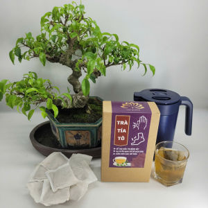Trà Tía Tô - Tuệ Quang - Hỗ Trợ Giảm Gout Và Các Cơn Đau Do Gout Hạ Acid Uric Giảm Đau Nhức Xương Khớp – Hộp 50 Lọc