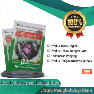 Benih Bibit Kol Kubis Merah F1 Red Globe Cabbage Hibrida 10 Gram