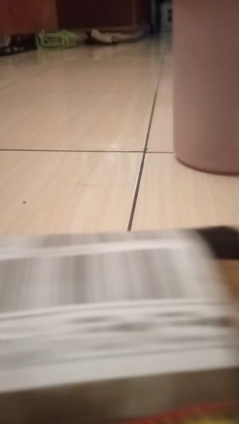 Buyer review video 5