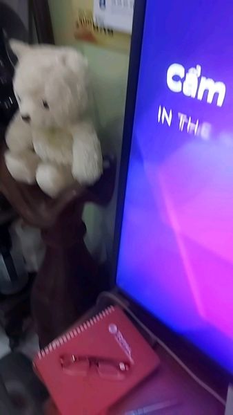 Buyer review video 2