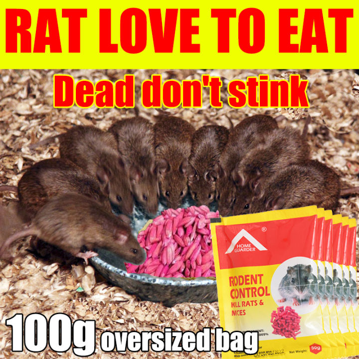 no rat for 50 years👍XX rat poison killer powder rat killer poison