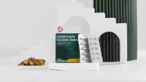 限时促销 GKB Cordyceps Cicadae 350mg Vegecap 60S Cordyceps Cicadae for Daily Wellness Support  Authentic Product