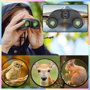 FAST DELIVERY APEXEL Teropong Binoculars Jarak Jauh Compact Super Zoom 10x25