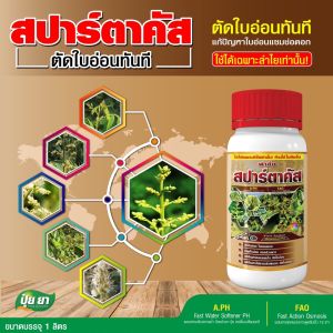 ตัดใบอ่อนลำไย หยุดใบอ่อน ต้นไม่โทรม ไม่ทำลายดอก ปลอดภัยต่อผล สปาร์ตาคัส ปุ๋ยยา หลายขนาด