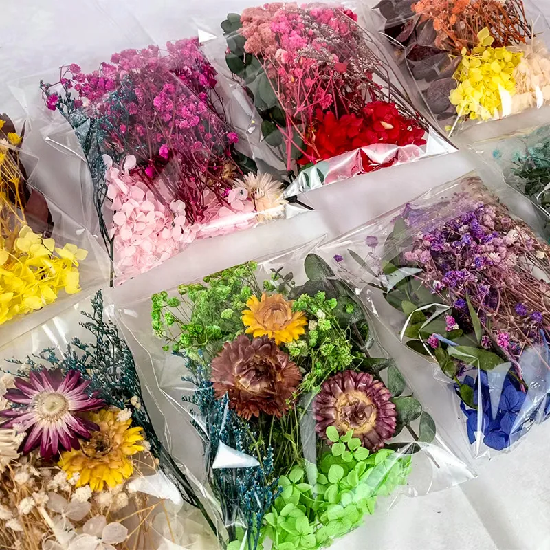 Dried Flowers for Resin Jewelry molds with Tweezers, Real Pressed Dry  Flower Leaves Mixed Multiple Colorful, for DIY Crafts Nail Art Candle Soap
