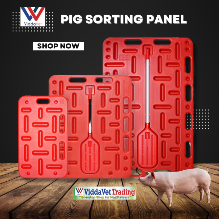 Viddavet Sorting panels pig cutting boards pig hurdles sorting panel ...