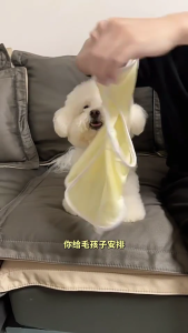 Dog Spring Cool Vest Indoor Outdoor Use Clothes Sweatshirt Outfit Summer and Spring Walking Camping T-Shirt