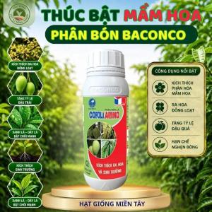 Chai 450ML - Phân bón lá COFOLI AMINO - Hiệu BACONCO - Tăng trưởng mạnh kích thích ra hoa và sinh trưởng