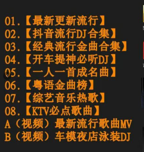 NGHG MALL--2025 New Mandarin Cantonese Tik Tok hit songs+ DJ songs high-quality music U drive 2025新款国语粤语抖音热门歌曲+DJ歌曲高音质音乐u盘