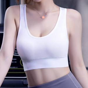 Sports Fitness Fixed Bra AntiSag AntiShock Vest Womens Underwear Poly Sports Fitness Bra Mesh