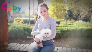 Carrier Hands-Free Bag Travel Cage Dog Cat Crates For Accessories Universal Size Suitable for s Up to 10KG Portable Outdoor Travel  Bag