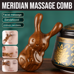 Meridian Massage Comb Body Care Tool Eye Neck Massager Anti-Static Smooth Delicate Compact Sturdy And Durable