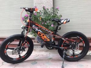 SIÊU PHẨM THỂ THAO VÀNH ĐÚC PHANH ĐĨA SPACE BORKI SIZE 18-20-22- HÀNG NHẬP KHẨU CHÍNH HÃNG