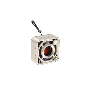 DW12 Bluetooth Wireless Portable Speaker