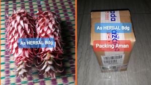 Jual Buah nanas merah nanas muda 1 kg fresh-az