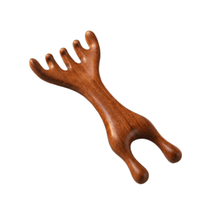FIRST SONG Scraping Double Headed Massage Comb Blood Circulation Anti-static Meridian Massage Comb Scraping Treatment Unblock Meridians Massage Tool Gift