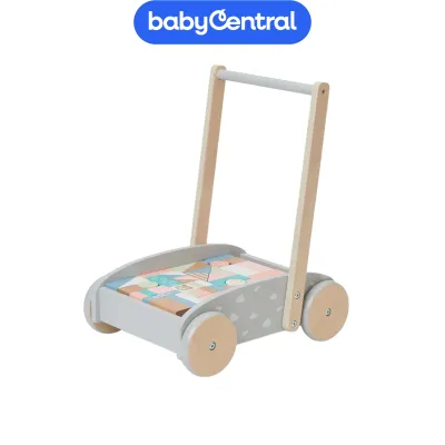 Bubble Wooden Baby Push Cart & Walker with 46 Building Blocks