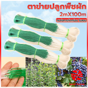 Thaihome Local home ตาข่ายปลูกพืชผัก โครงไม้เลื้อย ค้างปลูกผัก อวนปลูกผัก Plant Support