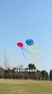 [SG Seller]Kids Octopus Pocket Kite Soft Easy Fly Kite for Kids Foldable Octopus Kite Long Tail Octopus Kite