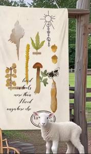 Ready stock sa local warehouseCamping Style Hanging Cloth Outdoor Campsite Camping Atmosphere Tent Decoration Background Cloth Picnic Tailgate Stall Flag