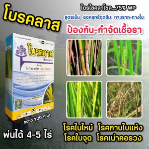 ไตรไซคลาโซล 75% WP โบรคลาส ตัวเดียวกับ บีม (สินค้าผลิตใหม่ เนื้อดี) สารป้องกันกำจัดโรคพืช เชื้อรา เช่น ใบจุด ใบไหม้ 100g