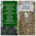 Tribulus terrestris Kapsul Halal 100% Herba Asli Rawat Masalah Batin Lelaki Ready stock. 