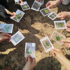 WP💓💛💖 20PCS DIY Transparent Plastic Frames for Specimen Bookmarks Pressed Leaves Art Supplies Handmade Craft School Projects