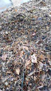 Media Tanam Premium siap pakai berat 3kg