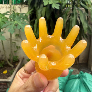 Lược mát xa bạch tuột tám ngạnh