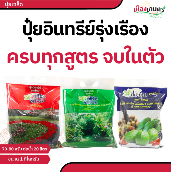 5 อันดับ ปุ๋ยเร่งใบเขียวดก บำรุงต้นสวย อัปเดตปี 2025