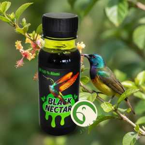 Black Nektar By SEMPATI - Auto Gacor Maxx 140 Ml Nectar Pakan Konin Kolibri Pleci Sogon Sunbird Kowul Makanan Minuman Lomba Penggacor Ngalas Bukpar Ngeroll Nembak Full Durasi Burung Pemakan Sari Buah