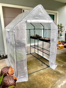 โรงเรือน โรงเรือนแคคตัส โรงเรือนเพาะชําโรงเรือนสําเร็จรูปโรงเรือนบอนสีโรงเรือนไม้ด่างโรงอบบอนสีโรงเพาะชําขนาดเล็ก