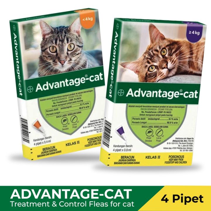 Elanco Advantage Cat Spot On Flea Treatment For x