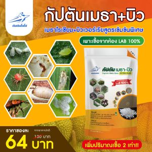 กัปตันเมธาบิว สูตรเข้มข้น เชื้อ 2 เท่า เชื้อราบิวเวอร์เรีย + เชื้อราเมธาไรเซียม แบบผง(100กรัม)  ปลอดภัย 100 %