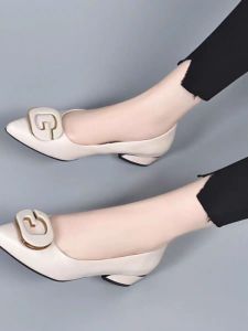 Free Shipping WomenS Pointed-Toe Buckle-Strap Chunky-Heeled Flats 2026 Spring New Collection Versatile Shallow-Toe Mid-Heel Shoes All-Season Slip-On Shoes Loafers