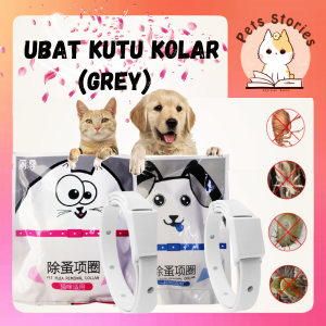 Pet Cat Dog Anti Flea Prevention Collar Ubat Kutu Kucing Allergy Free (Grey) (1pcs)