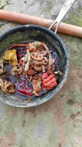 Thuốc trừ sâu 500 ml tiêu diệt tất cả các loại sâu bọ cây trồng