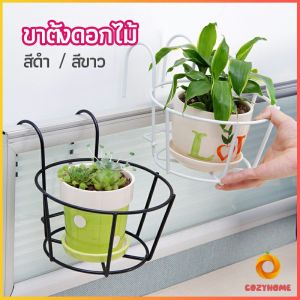 ที่แขวนกระถางต้นไม้แบบเหล็ก กระถางแขวนผนัง  flower stand Cozy