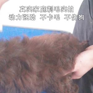 AU Tông đơ điện thú cưng Wolf Bao máy cắt lông chó máy cắt lông sạc điện tông đơ điện máy cắt tỉa lông