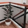 ( BISA COD ) Tanaman Hias Karet Kebo Merah Ficus Elastica / Pohon Karet Kebo Merah Tanaman Hidup Karet Kebo Tanaman Indoor Ficus Elastica. 