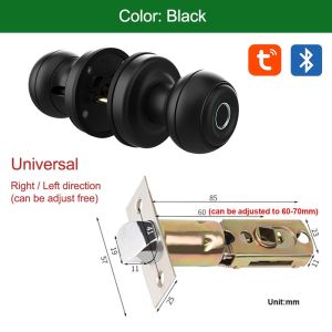 RAYKUBE K01 Tuya Bluetooth Smart Door Lock Cylinder Waterproof Fingerprint Electronic Lock Knob with APP/Key/Fingerprint Unlock