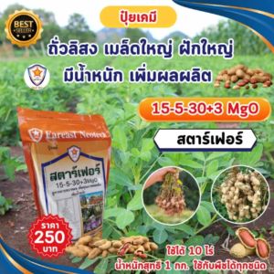 ปุ๋ย ฉีดพ่น ถั่วลิสง โตไว ใบเขียว เร่งราก เร่งดอก เมล็ดใหญ่ ฝักใหญ่ ดกเต็มต้น น้ำหนักดี เพิ่มผลผลิต โดย สตาร์เฟอร์