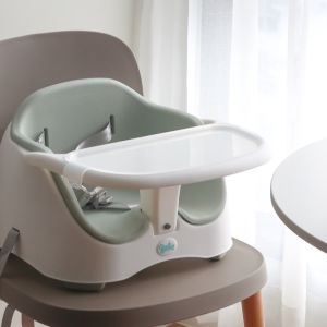 Bright starts เก้าอี้หัดนั่งทานข้าว Ingenuity Baby Base 2-In-1 Booster Seat