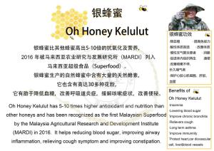 【2 bottle 235g Honey】100%纯天然深山野蜜Oh Honey Malaysia