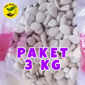 PROMO 3 KG BATU HIAS AQUARIUM