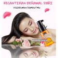 TERMURAH !! Premium Korean Perfect Hair Repair Serum 70 ML / Serum Rambut Pria Wanita Vitamin Rambut Ellips Untuk Rambut Kering Serum Glowing Serum Rambut Rontok Pelindung Rambut Vitamin Rambut Keratin Shampoo Minyak Rambut Penumbuh Rambut Penyubur Rambut. 